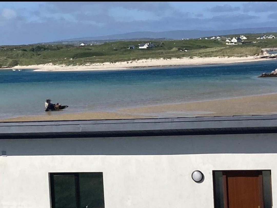Ostan Gweedore Deluxe Apartments Bunbeg Exterior foto